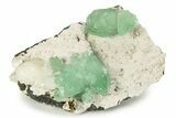 Gemmy, Green Apophyllite Flowers On Stilbite - India #244237-1